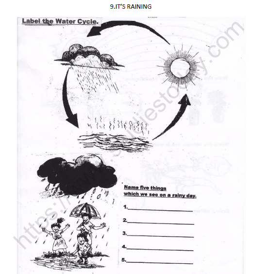 Evs Worksheet For Grade 3 Cbse Class 3 Evs Here Comes A Letter
